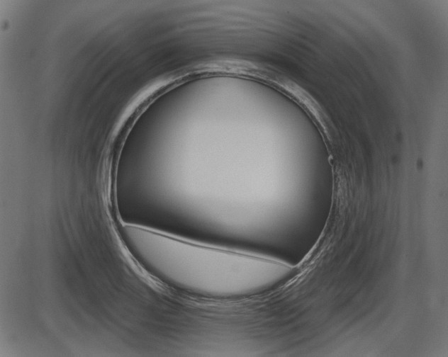 X0000087701131200705040844