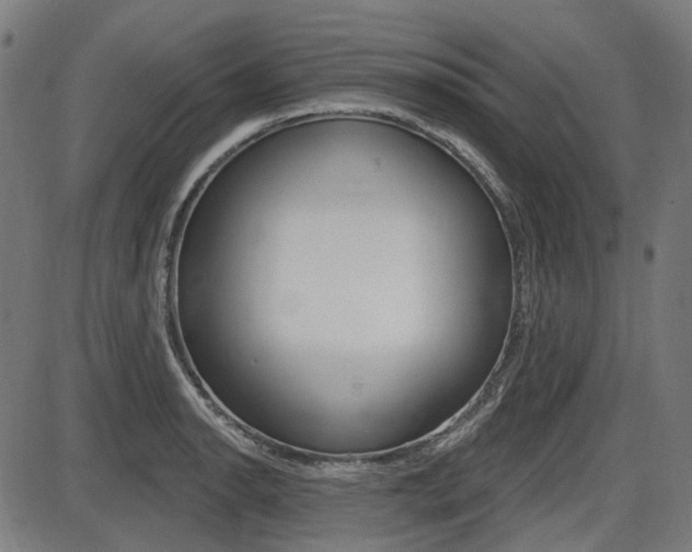 X0000087701134200705040844