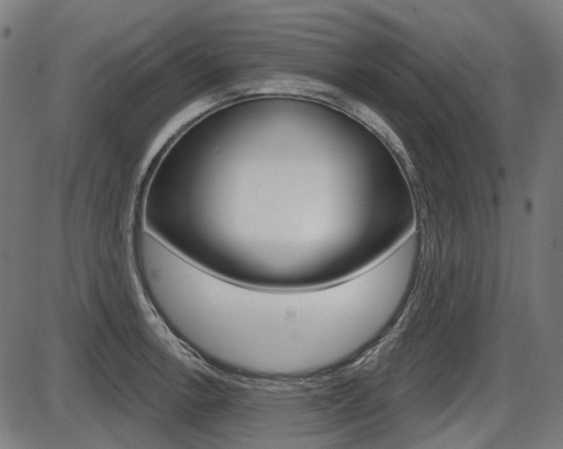 X0000087701138200705040844