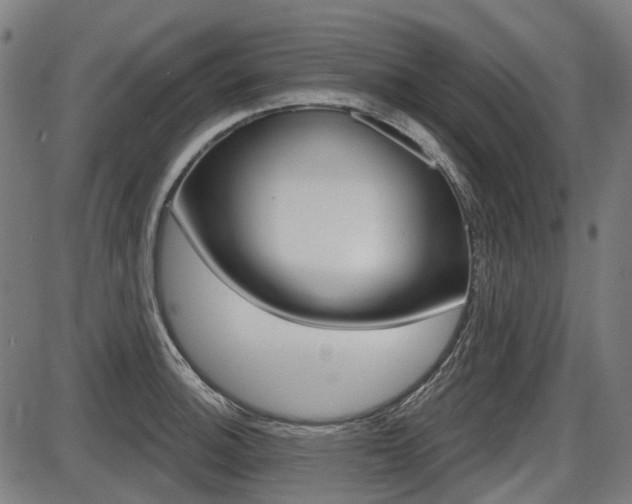 X0000087701140200705040845