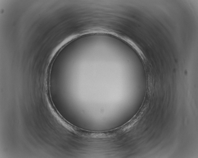 X0000087701142200705040845