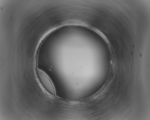 X0000087701144200705040845
