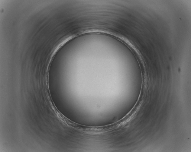 X0000087701145200705040845