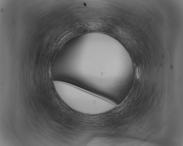 X0000087701155200705040844