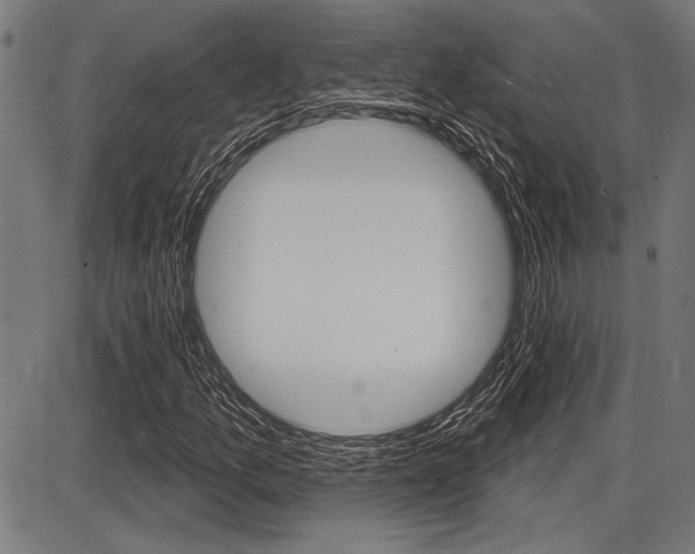 X0000087701157200705040844