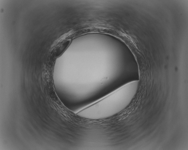 X0000087701159200705040844