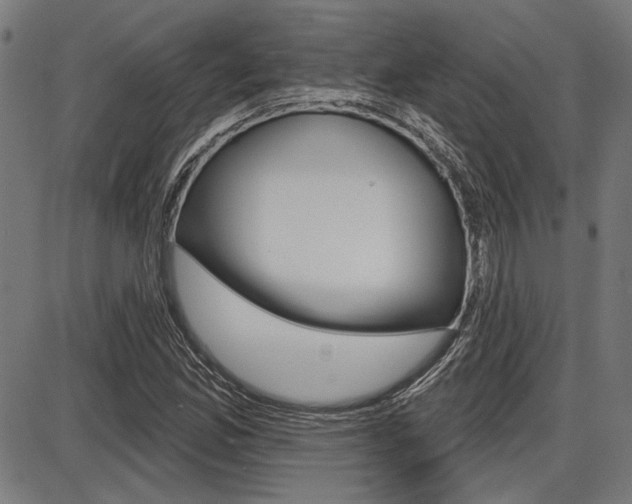 X0000087701165200705040844