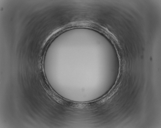 X0000087701166200705040844