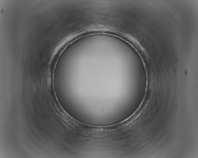 X0000087701167200705040844