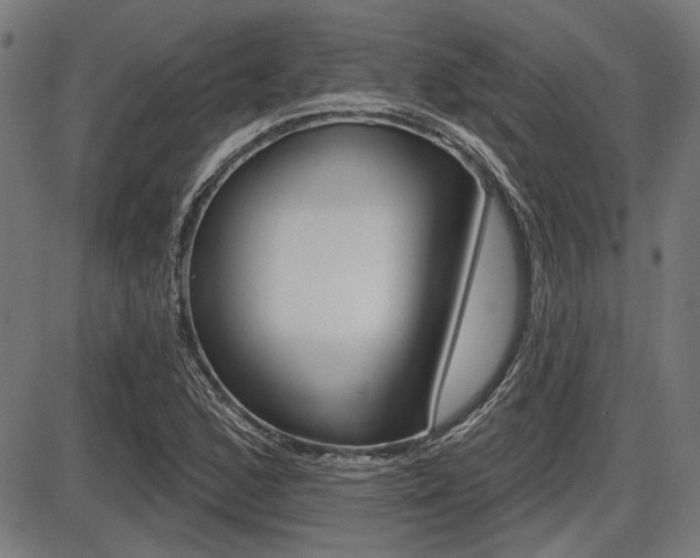 X0000087701168200705040844