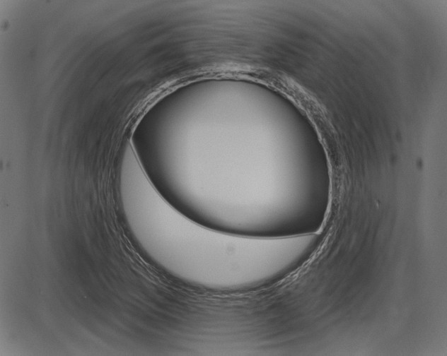 X0000087701169200705040844