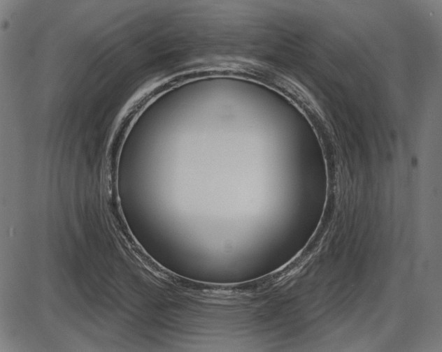 X0000087701172200705040844
