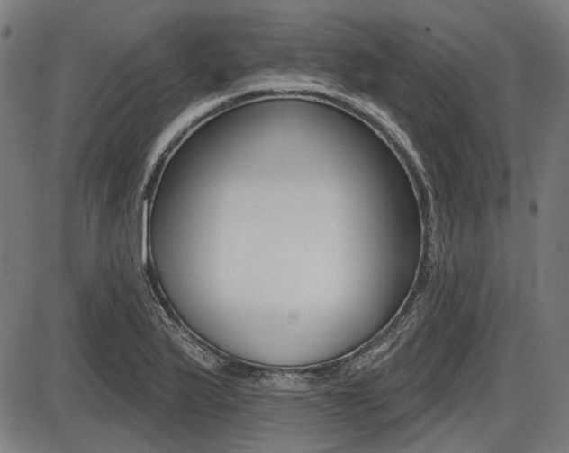 X0000087701175200705040844