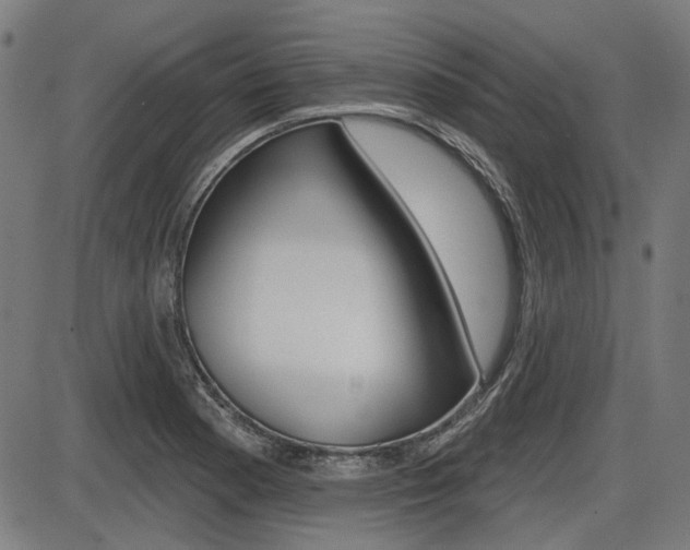 X0000087701177200705040844