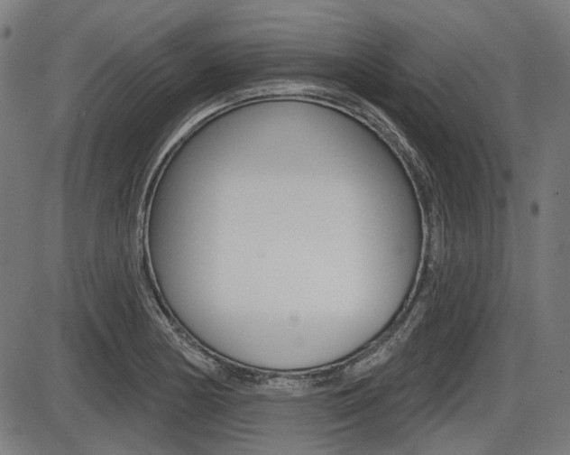 X0000087701178200705040844