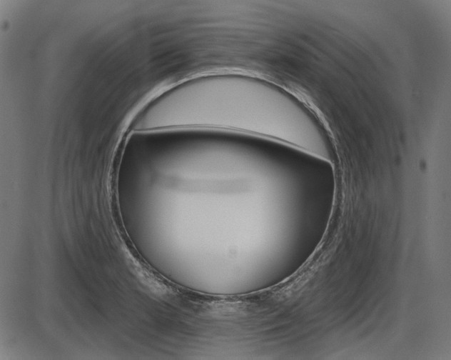 X0000087701181200705040843
