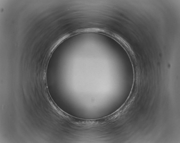 X0000087701193200705040843