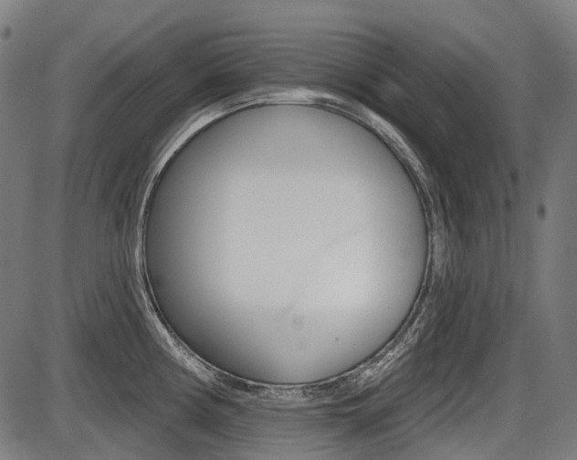 X0000087701194200705040843