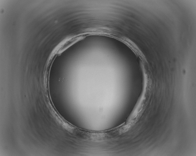 X0000087701196200705040843