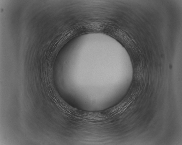 X0000087701201200705040842