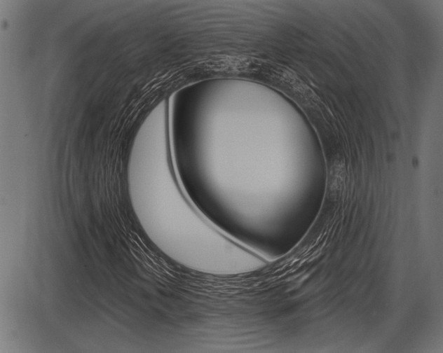 X0000087701202200705040842
