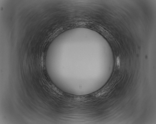 X0000087701203200705040842