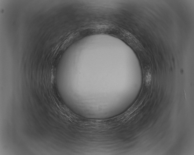 X0000087701204200705040842