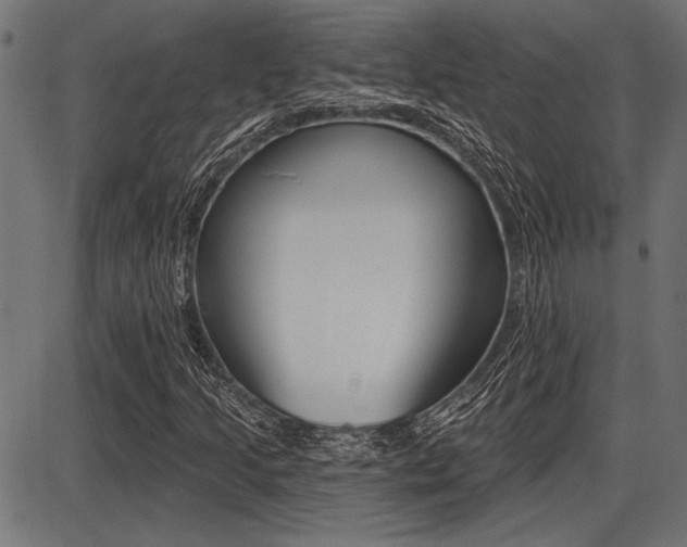X0000087701205200705040842