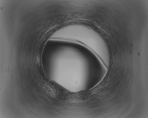 X0000087701206200705040842