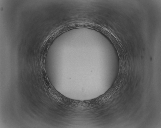 X0000087701207200705040843