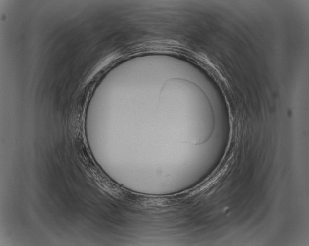 X0000087701211200705040843