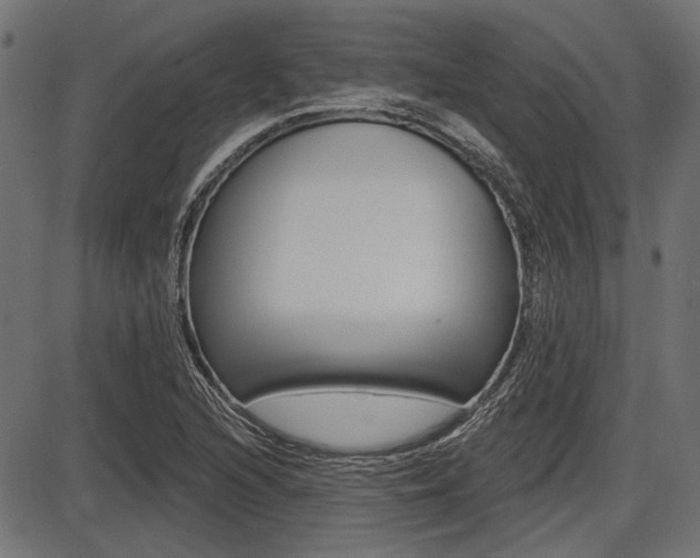 X0000087701216200705040843