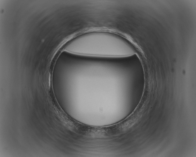 X0000087701221200705040843