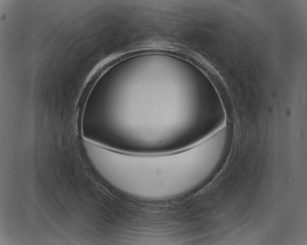 X0000087701222200705040843