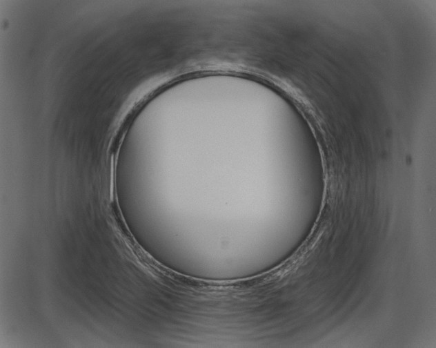X0000087701223200705040843