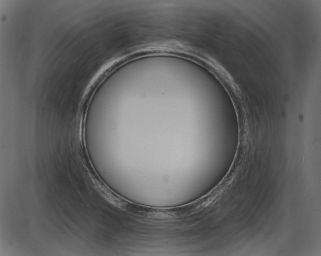 X0000087701224200705040843