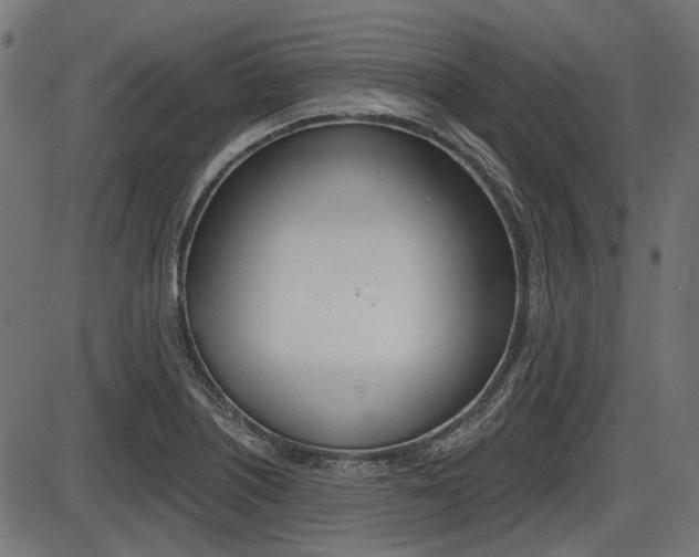 X0000087701226200705040843
