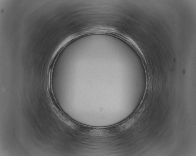 X0000087701227200705040843