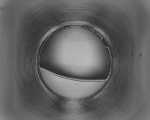 X0000087701229200705040843