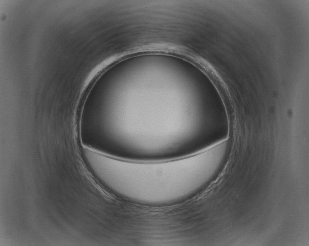 X0000087701230200705040843