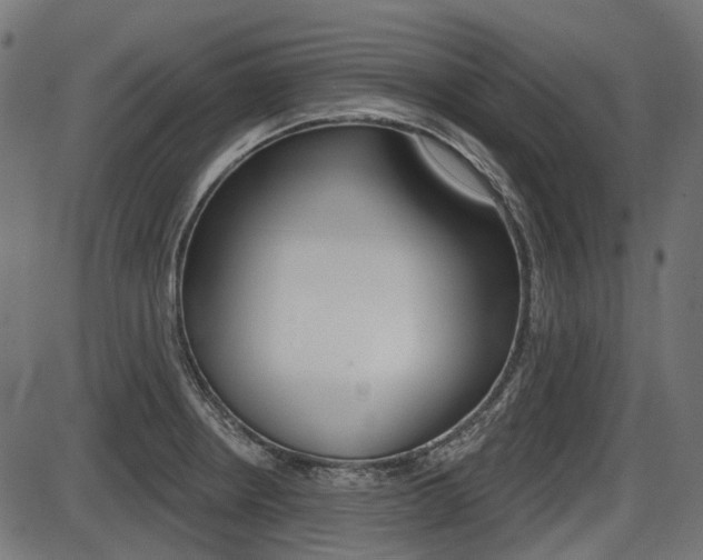X0000087701234200705040843