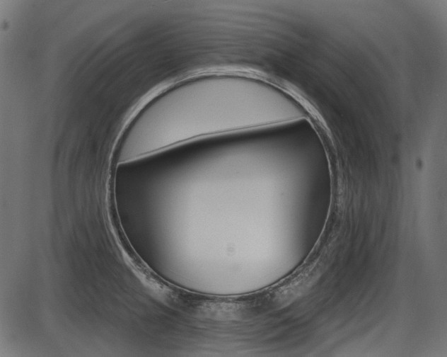 X0000087701237200705040843