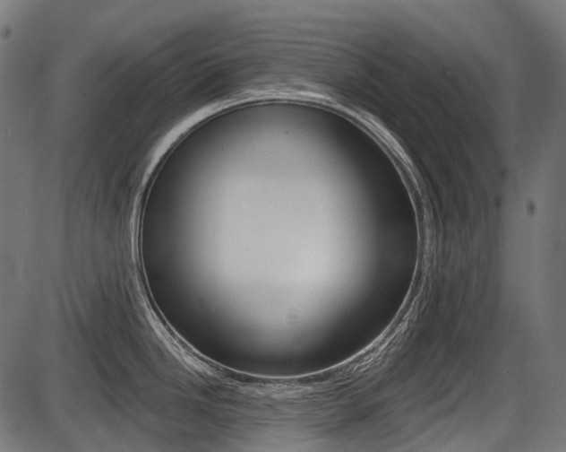X0000087701246200705040843