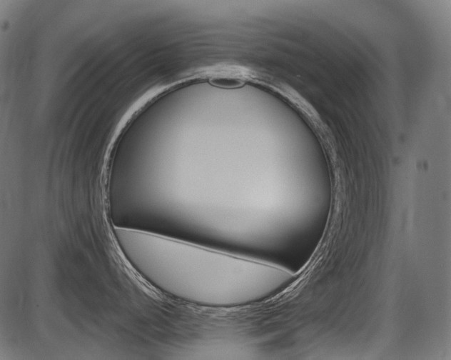 X0000087701248200705040843
