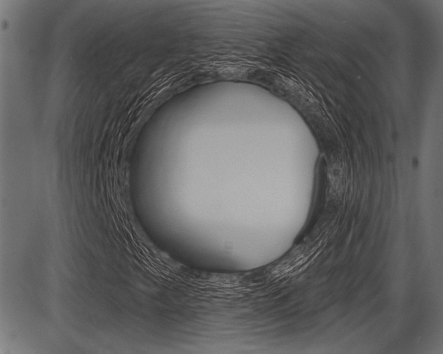X0000087701249200705040842