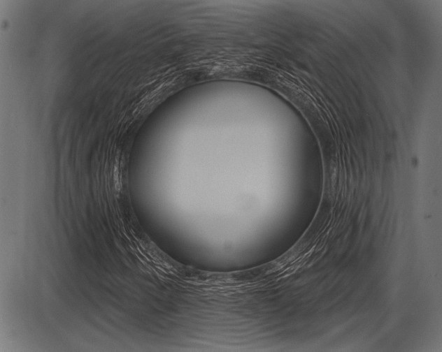 X0000087701250200705040842