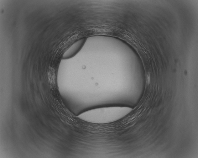X0000087701251200705040842
