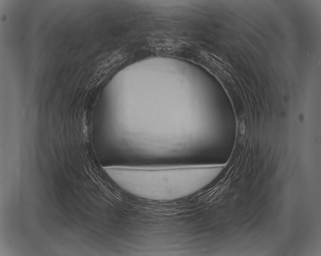 X0000087701252200705040842
