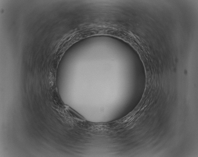 X0000087701253200705040842