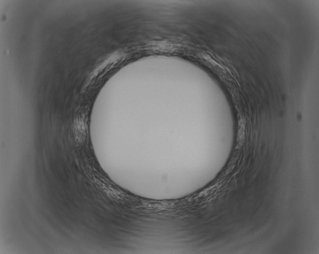 X0000087701254200705040842